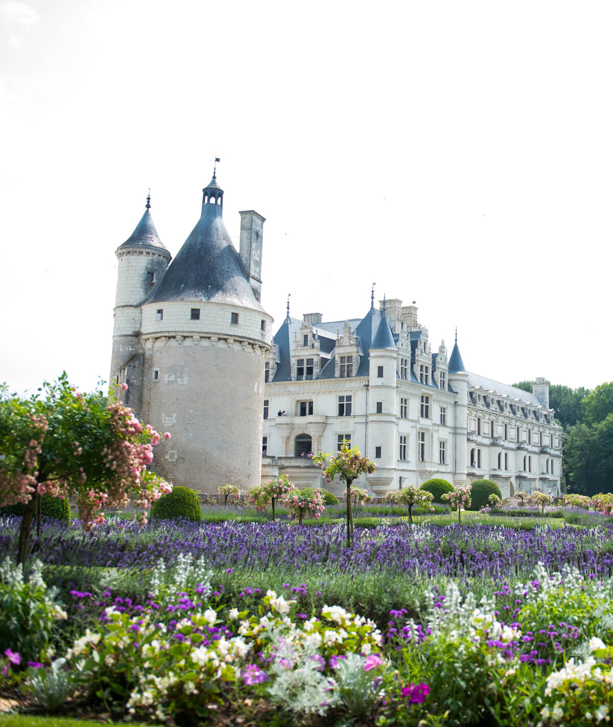 Chenonceau-in-July