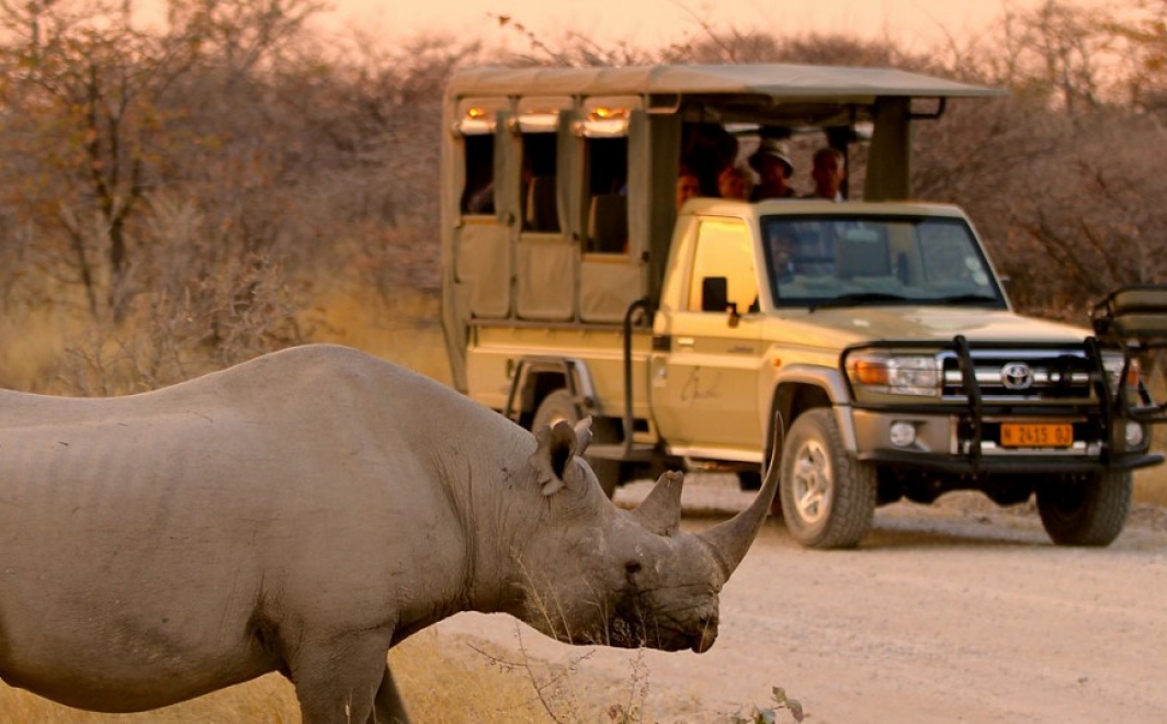 An African Culinary, Wildlife and Fly-in desert Adventure